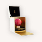 Aurora Scents Cherry In The Woods Extrait de Parfum 100ml